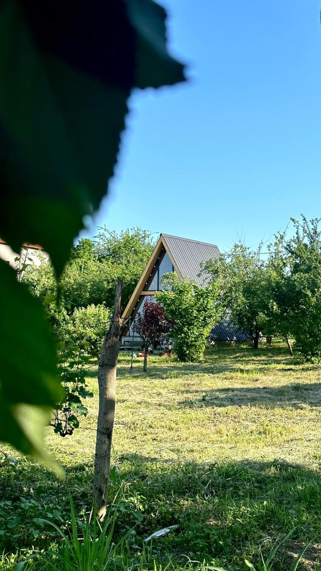 Villa Tsinandali Zewnętrze zdjęcie